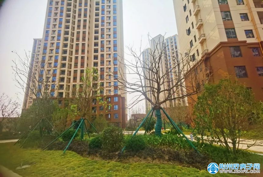 更新了实景图